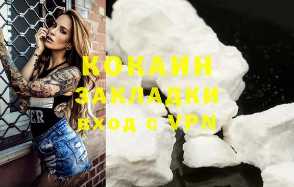 mdpv Краснослободск