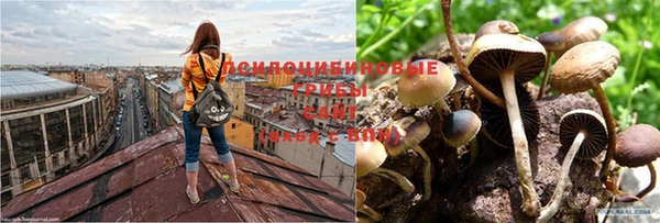 мдпв Краснотурьинск