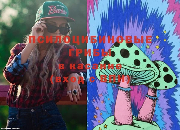 мдпв Краснотурьинск