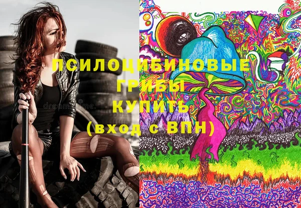 mdpv Краснослободск