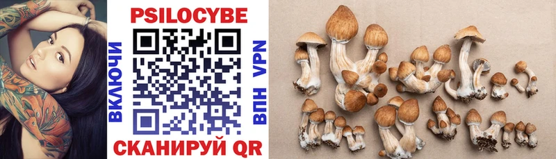 Псилоцибиновые грибы Cubensis  Костомукша 