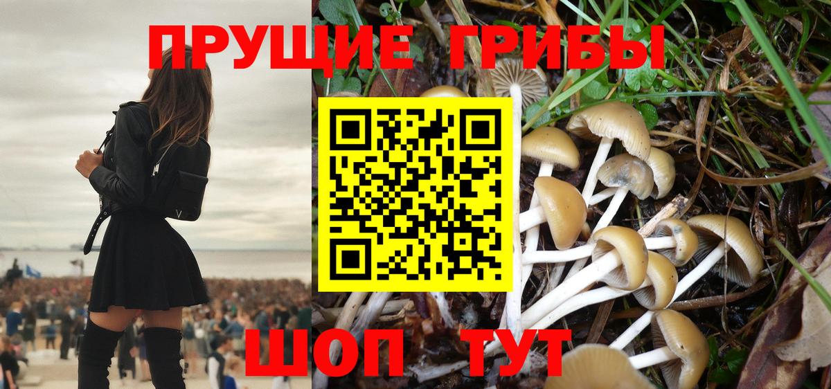 Галлюциногенные грибы мицелий  Вход с VPN  закладки  Костомукша 