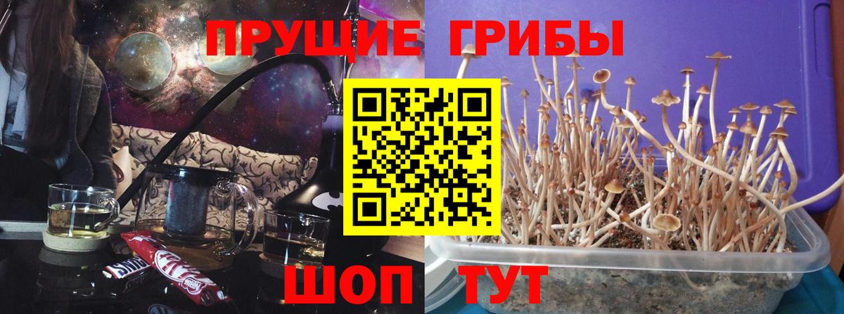 Галлюциногенные грибы ЛСД Костомукша